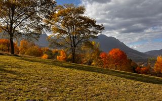 Teren Bran-Tohanita loturi intre 500/1000 mp - Poză 5