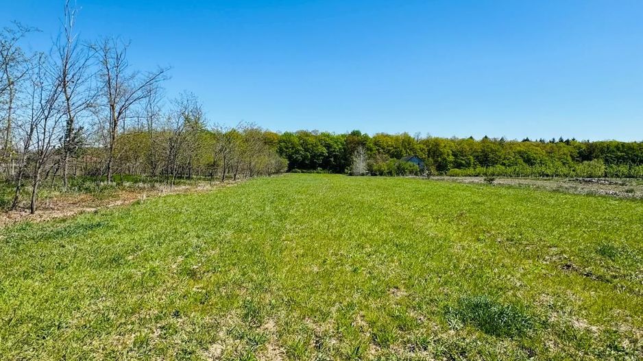 Teren intravilan 3800 mp Alparea lângă pădure - Poză 2