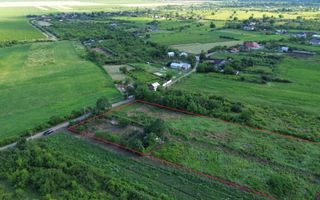 Teren Urlați / Investitie / 5.555 mp pe Traseul MARVIN si Drumul Vinului - Poză 5