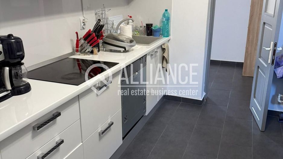 Vila deosebita Kamsas-Baba Novac (COD 08) - Poză 8