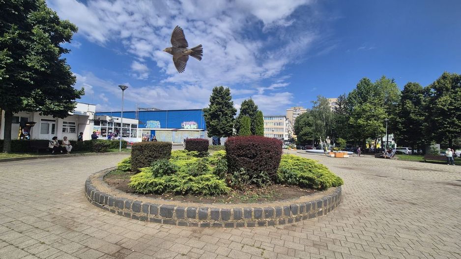 Exclusivitate- Spațiu comercial – Piața Astra, Brașov | 375 mp , Vad - Poză 3