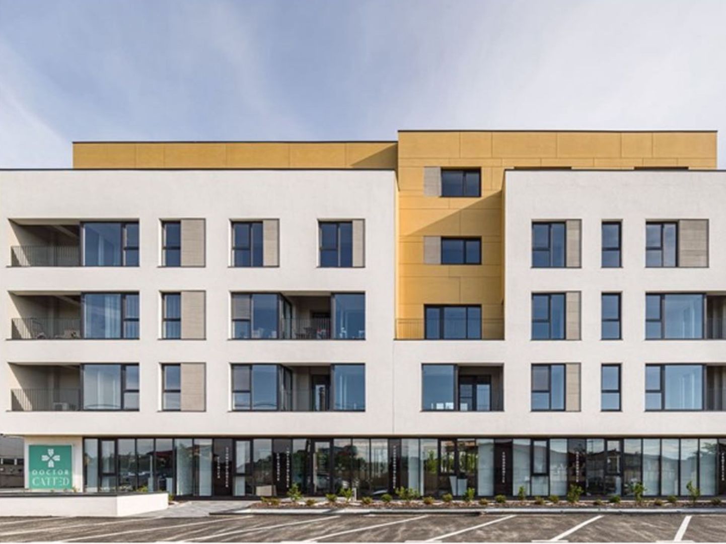 CATTED FAMILY - Poză 4