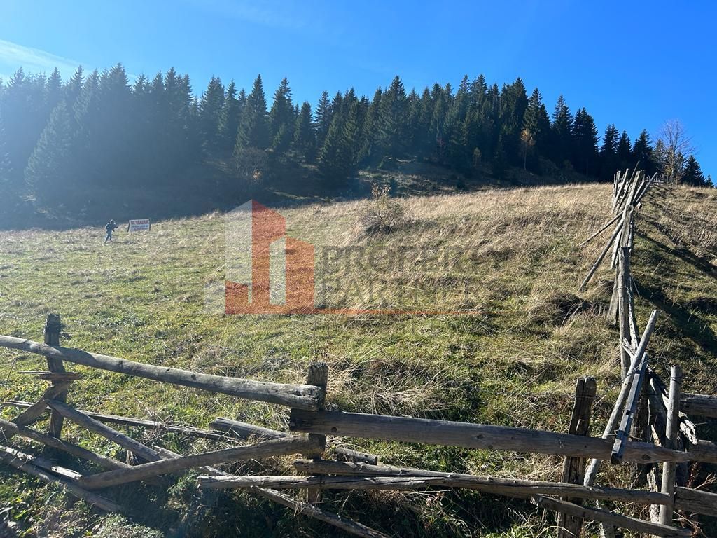 Teren Fundatica intravilan 4500 mp - Poză 11