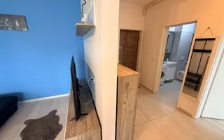 2 camere| Dumbravita| loc de parcare| Pet friendly| - Poză 15