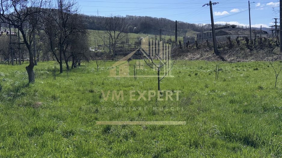 CASA 5 CAMERE TEREN 7500 MP CAMPULUNG - Poză 40