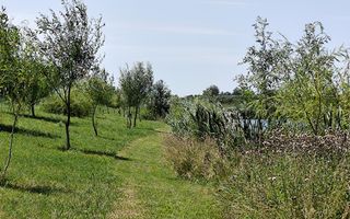 Balta de Pescuit | Cabana din Busteni | Teren 6,37 ha | langa Oradea - Poză 18