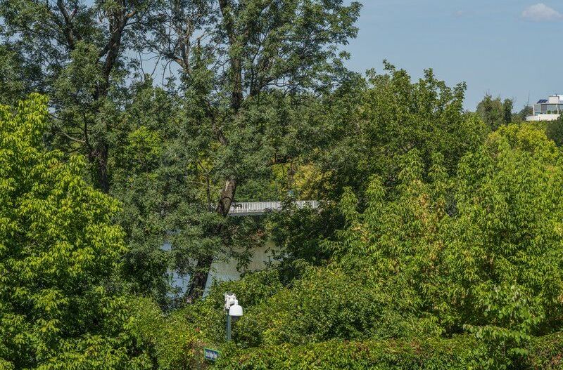 Apartament superb 5 camere I Zona Primaverii I View parc - Poză 6