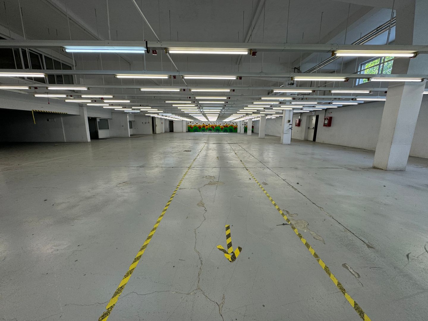 Hala productie P+1 si apartament de serviciu Navodari - c-tie beton - Poză 6