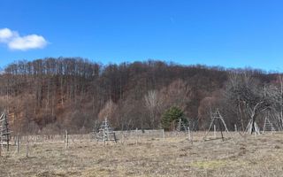 Teren Cicanesti Arges, la 10 KM de Transfagarasan - Comision 0% - Poză 1