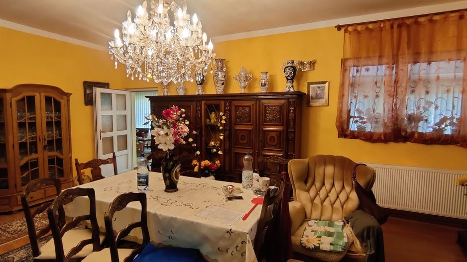 CASA INDIVIDUALA SI HALA CU TEREN  4000 MP - Poză 2