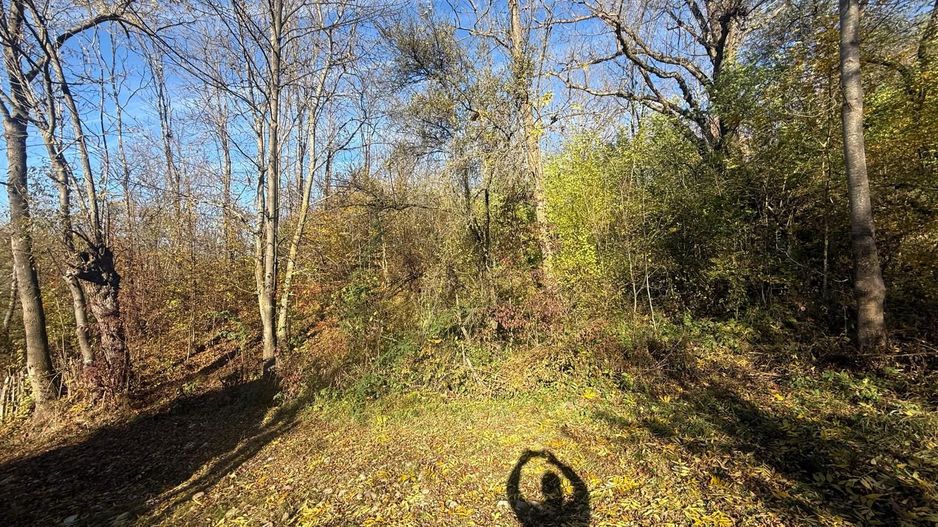 Teren langa pădure 6400mp+casa demolabila-deschidere 35 ml - Poză 13