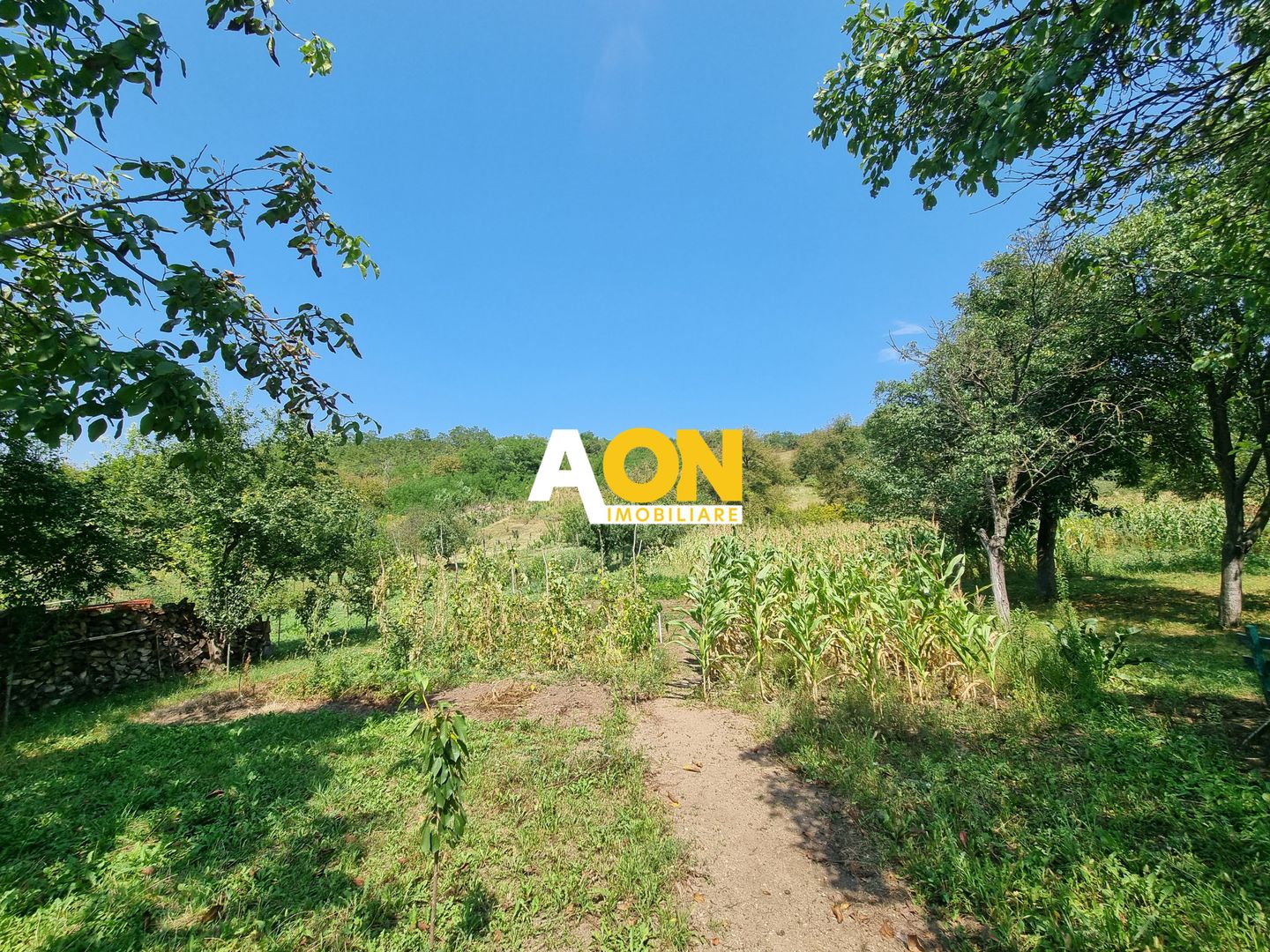 De vanzare casa 4 camere, 2150mp teren, Oarda de Sus - Poză 3