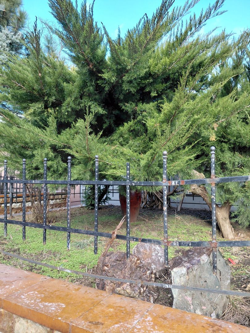 EXCLUSIVITATE | COMISION 0% | Casă 479 mp – ideală clinică medicală / activități - Poză 6