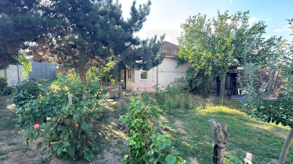 Casa-cu-Teren-Generos-(625 mp)-Panouri-Solare – Bariera-Valcii - Poză 2
