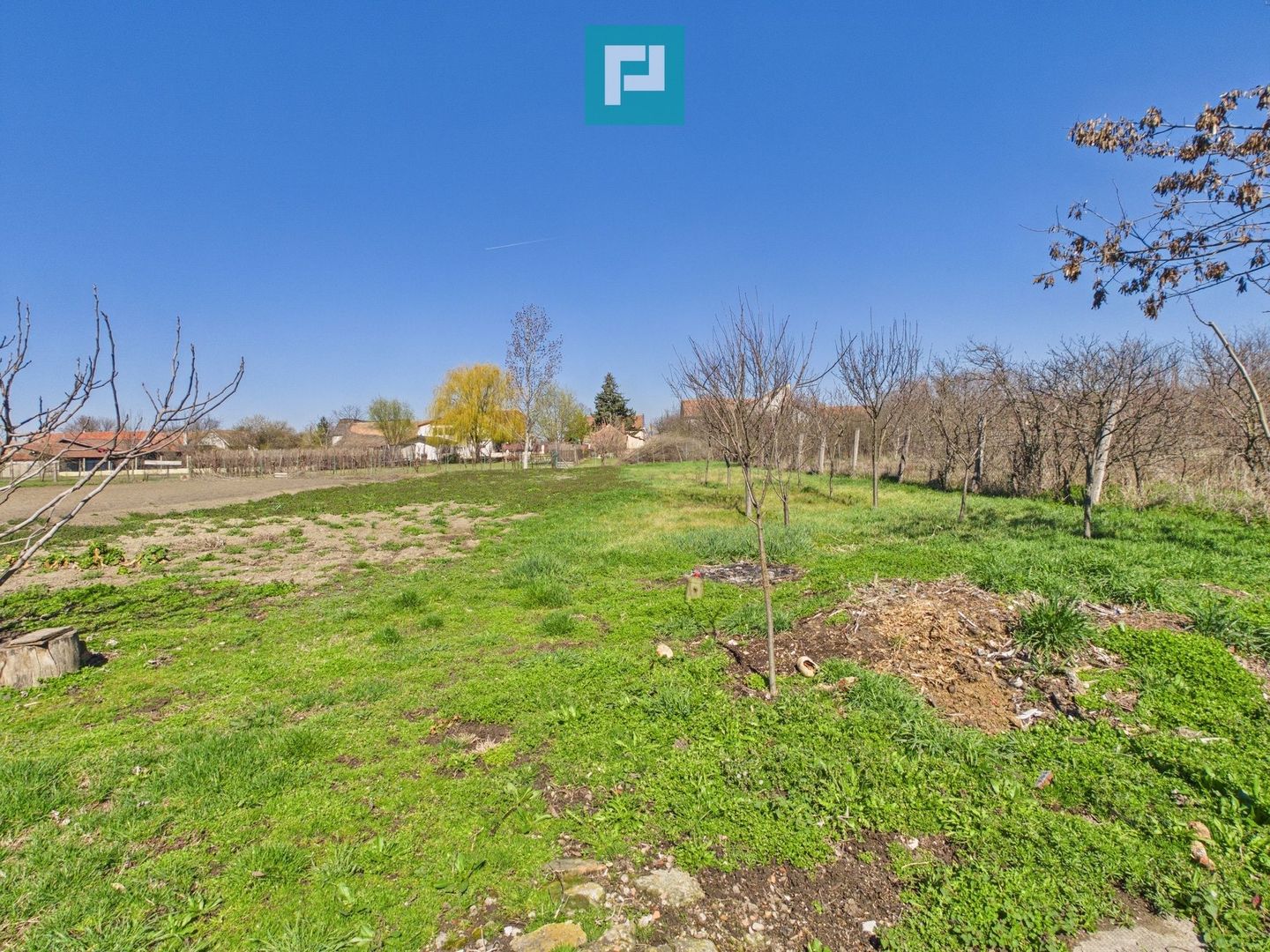 Casă cu 3 camere lângă frontiera Turnu - Poză 14