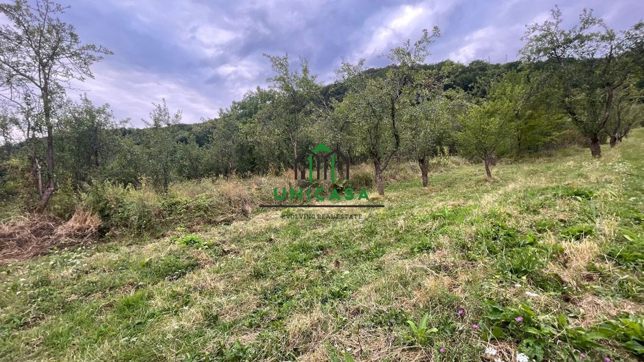 Teren intravilan - Cetatuie - Poză 2