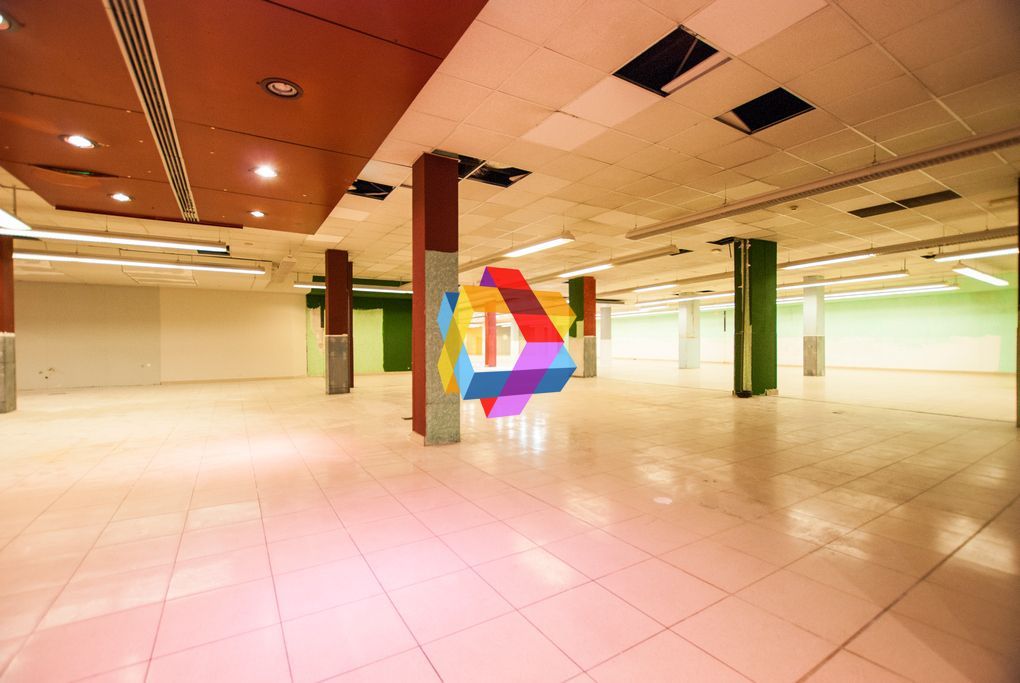 Spatiu comercial 3000 - mp #plus-imo.ro - Poză 2