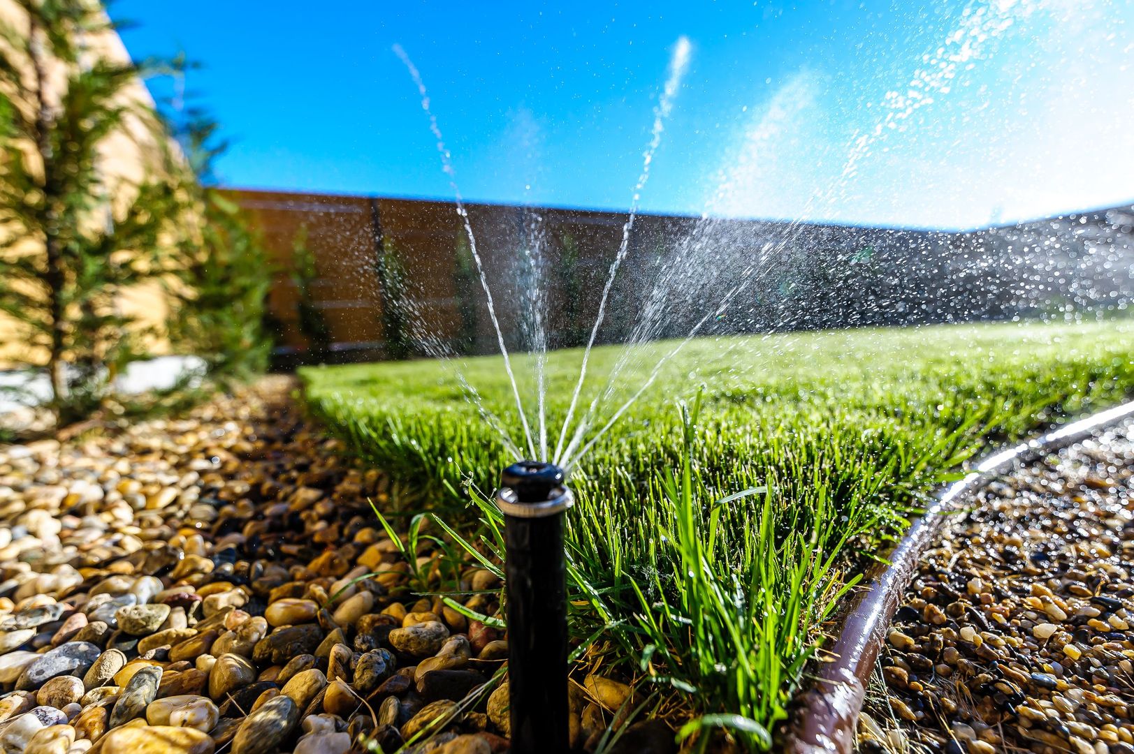 Singurul apartament NOU cu gradina proprie la ARED Comision 0 - Poză 3