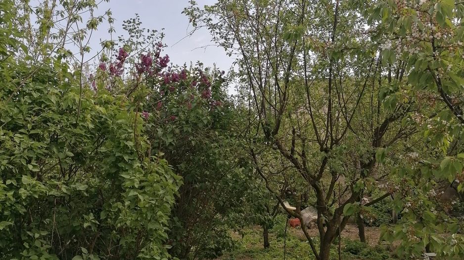 Ag EUROPA vinde casa 6 cam teren 11 ari în zona 14 Mai. - Poză 2