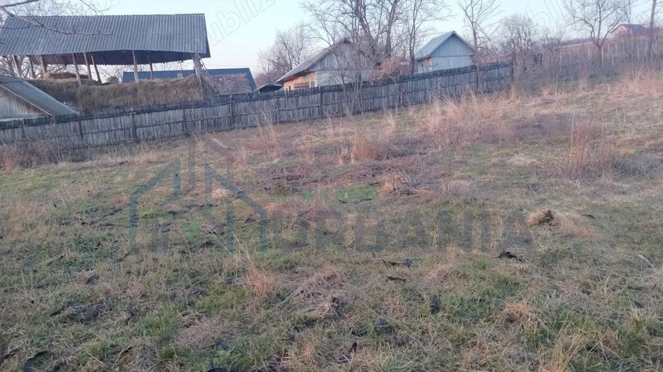 Vanzare teren - zona Ciurea, spre Piciorul Lupului. - Poză 3