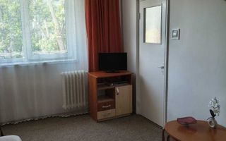 Apartament 1 camera  Alexandru cel bun,49499 euro - Poză 4