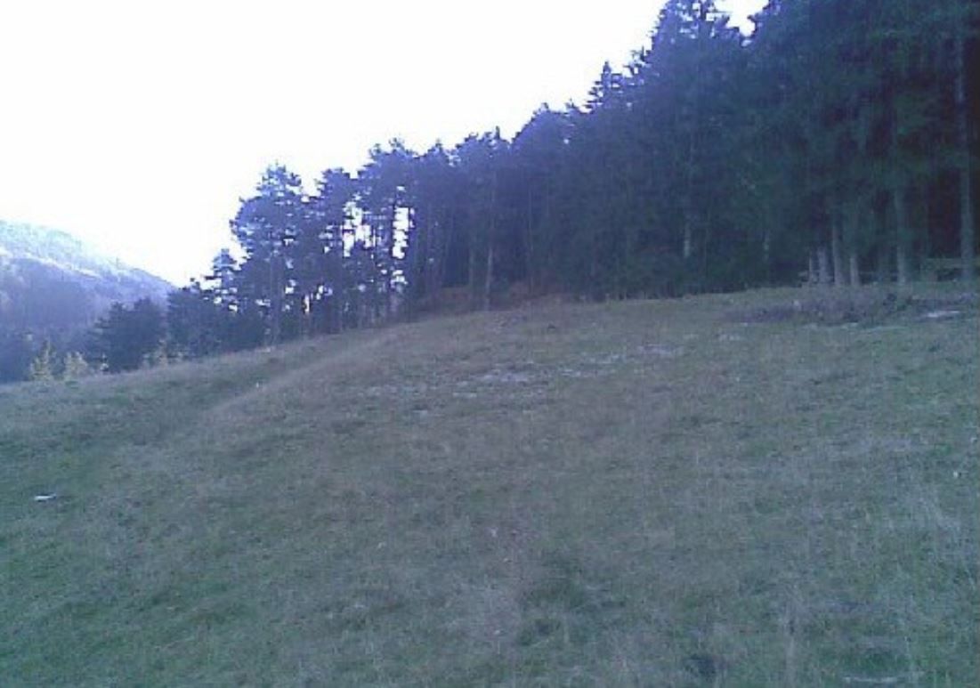 Teren, Sacele - Poză 2