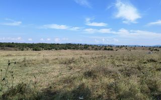 Teren intravilan investitie turism balnear fonduri europene - Poză 4