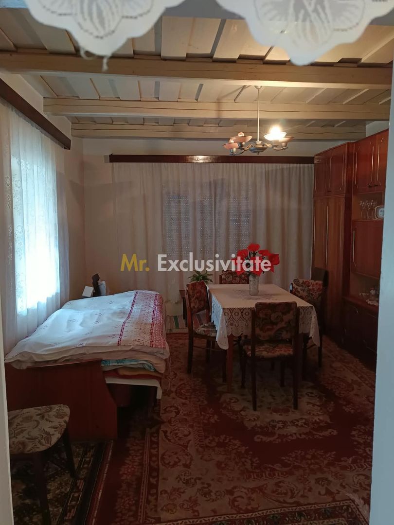 Casă tradițională cu teren de 4.400 mp în Vașad - Poză 16