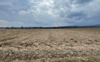 TEREN EXTRAVILAN | 23 ARI | HORODNIC DE SUS - Poză 5