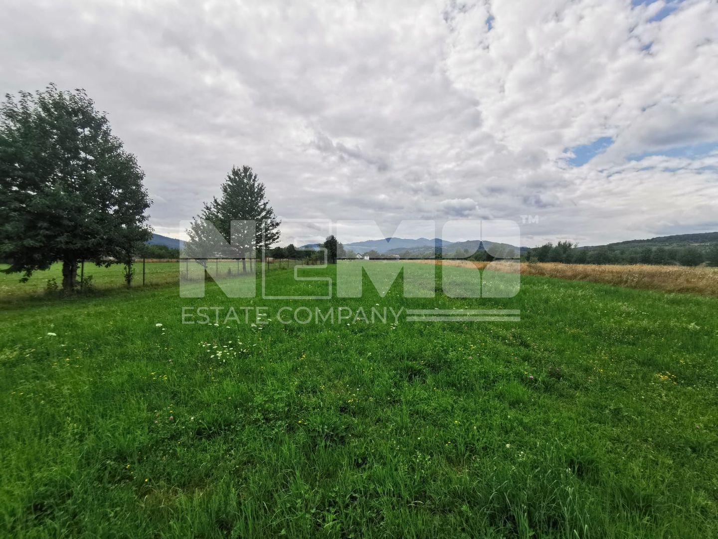 Teren Intravilan | 2.200 mp | Vicovu de Sus - Poză 1