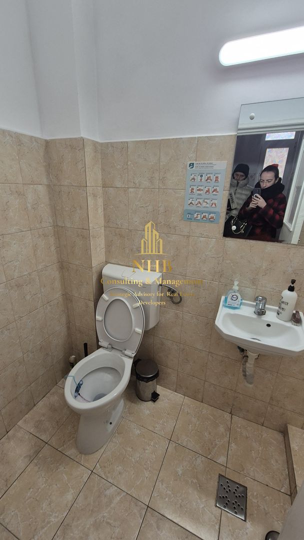 Spațiu Comercial de Vânzare în Domenii – 14 Camere, 351 mp Teren - Poză 7