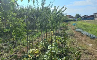 Casă individuală Plopi, 75 mp, teren 1.365 mp, 2 corpuri - Poză 11