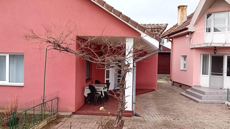 OFERTĂ in Băcia, Hunedoara ! Proprietate 2 case + Cabană + Livadă - Poză 24