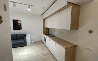 De inchiriat apartament 2 camere Regie/Orhideea/Grozavesti - Poză 3