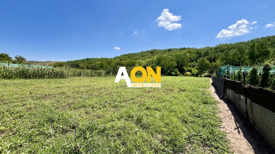 Teren Împrejmuit, 3514mp, Asfalt, Ciugud - Poză 1