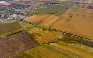 Teren de 19798mp în Zimandu Nou - Poză 11