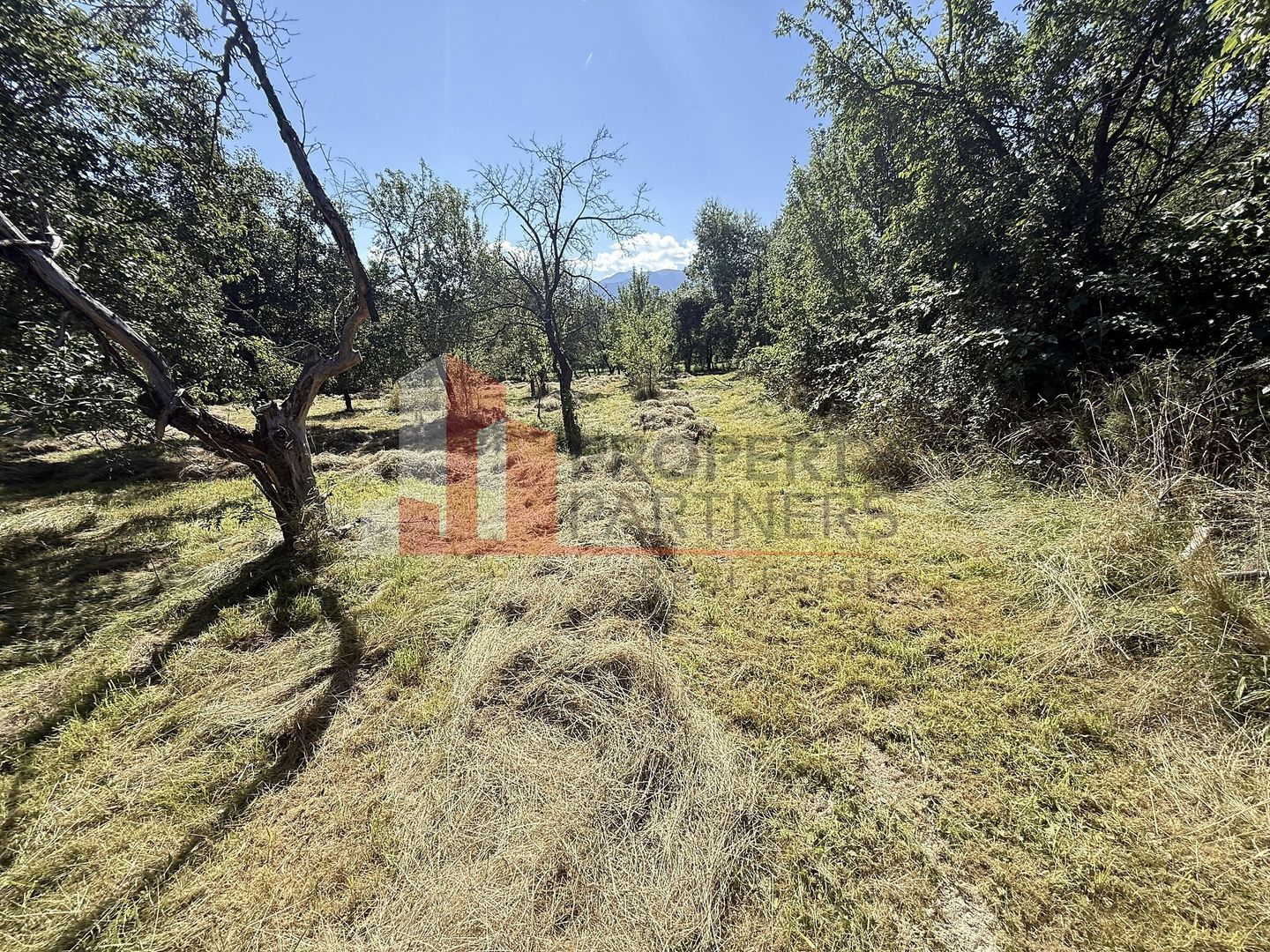 Teren 4558 mp cu casă tradițională, Sohodol, Bran - Poză 10