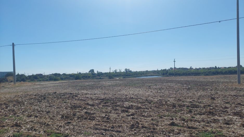 Teren de vânzare – Balotești, Strada Lacului, 800mp - Poză 1