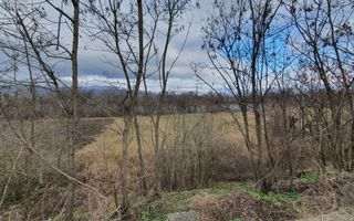 Vand teren extravilan - Poză 7