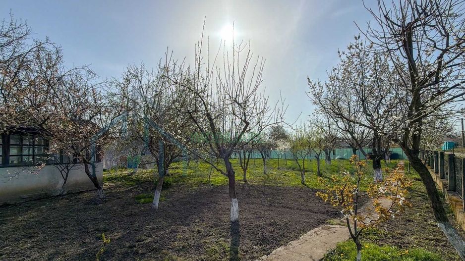 Casă cu anexă, foișor și beci pe teren de 600 mp – Țuțora, aproape de centru - Poză 2