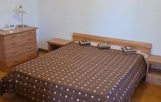 Ap 3 camere Primaverii vedere Herastrau - Poză 6