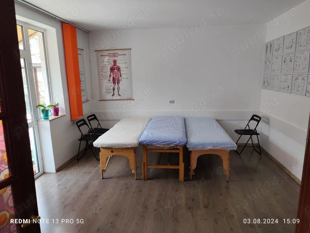 De vanzare Apartament 3 Camere in Vila, Tineretului, Metrou - Poză 3