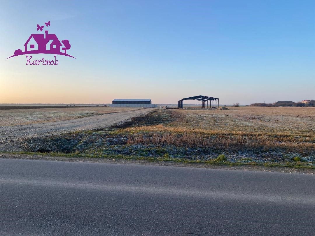 Parcele de teren industrial pentru diferite activitati economice - Poză 2