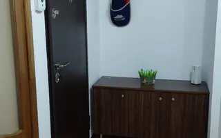 De închiriat apartament cu 3 camere, etaj 1, Siderurgistilor, 400 euro - Poză 11