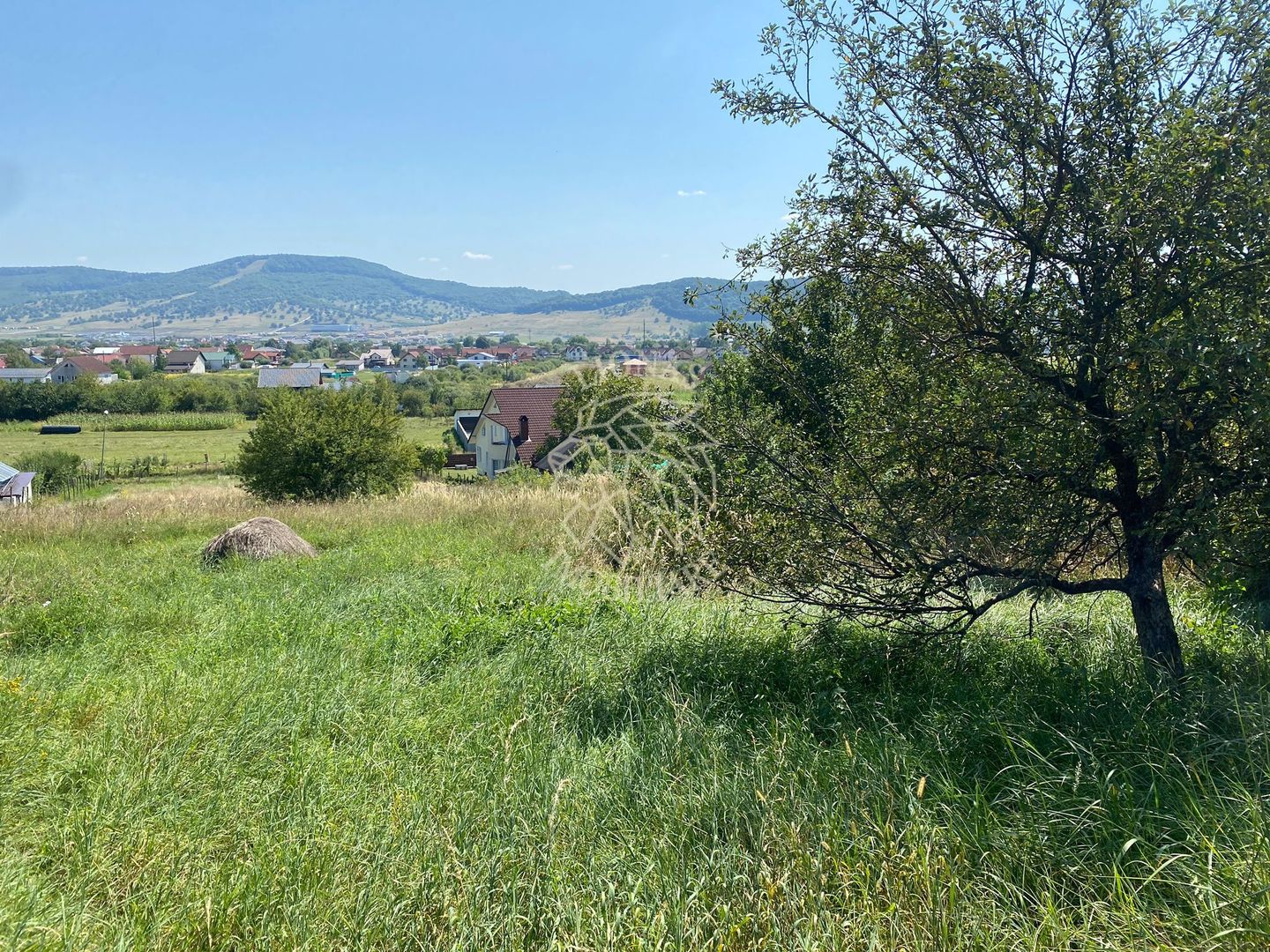 Teren intravilan 1300 mp-parcelabil-Viile cu Pomi-Unirea-Exclusiv - Poză 5