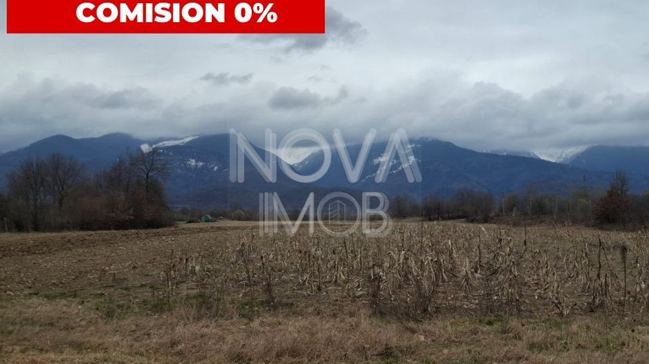 Teren extravilan de vanzare - Arpasul de Sus - Poză 1