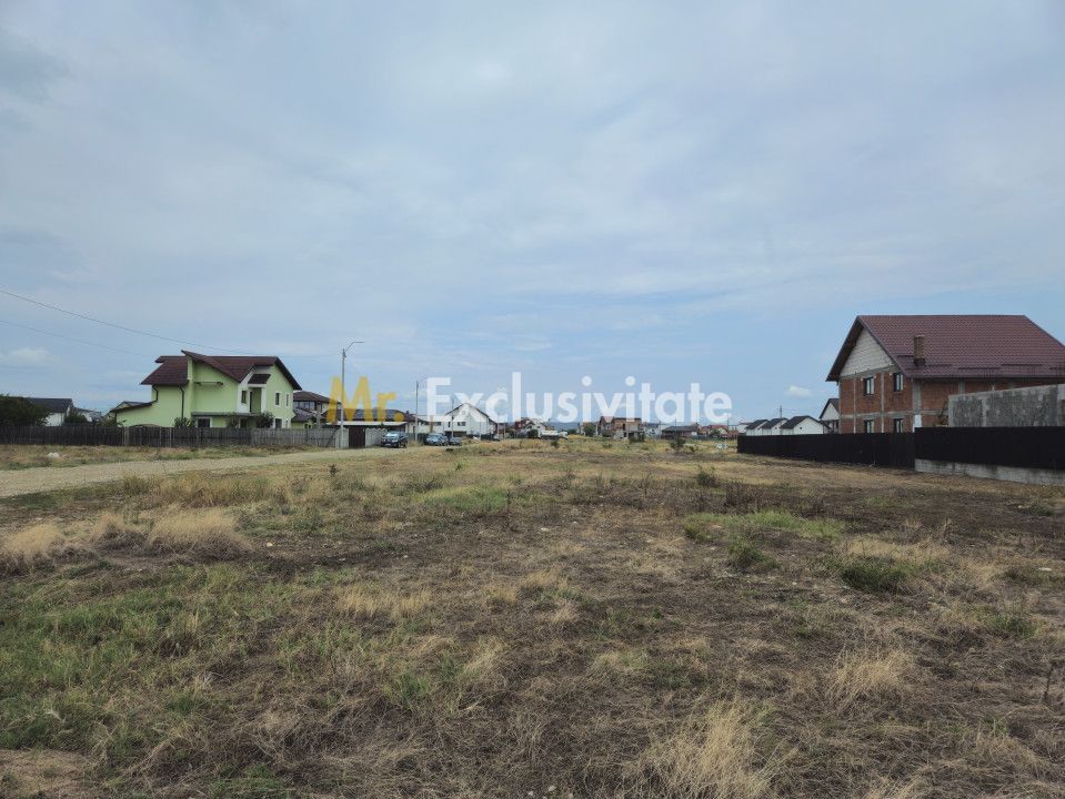 Comision 0% - Teren 10.000 mp - Str. Octavian Goga, Craiovei! - Poză 5