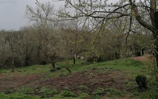 Casă de vânzare în Cerisor – liniște, natură și teren generos! - Poză 5