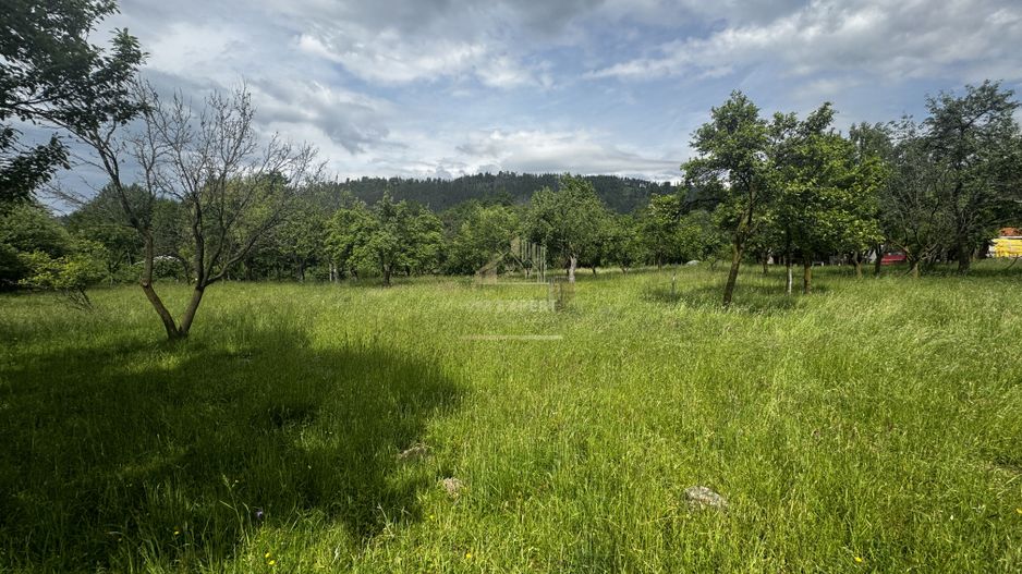 TEREN INTRAVILAN 4600 MP, VOINESTI, LERESTI, ARGEȘ - Poză 8