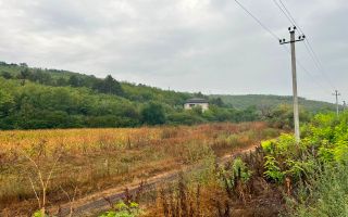 Vânzare, teren pentru construcție 5. 79 ari, str. Pădurilor,  Buneți - Poză 2